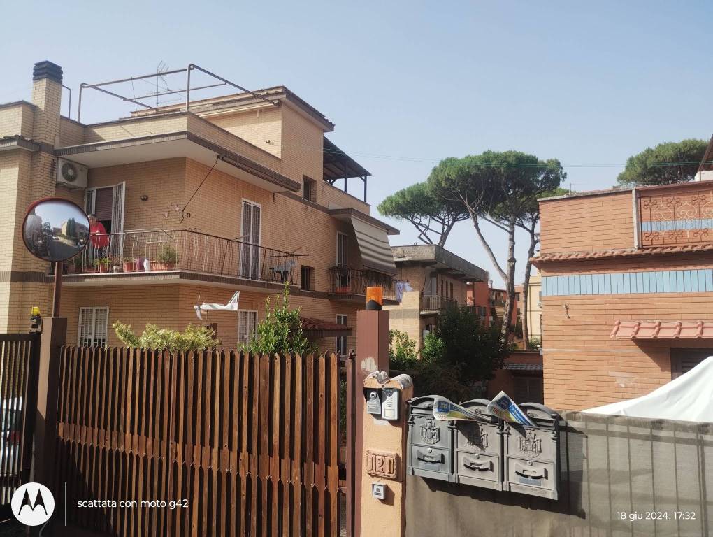 immagine annuncio 3 di 6