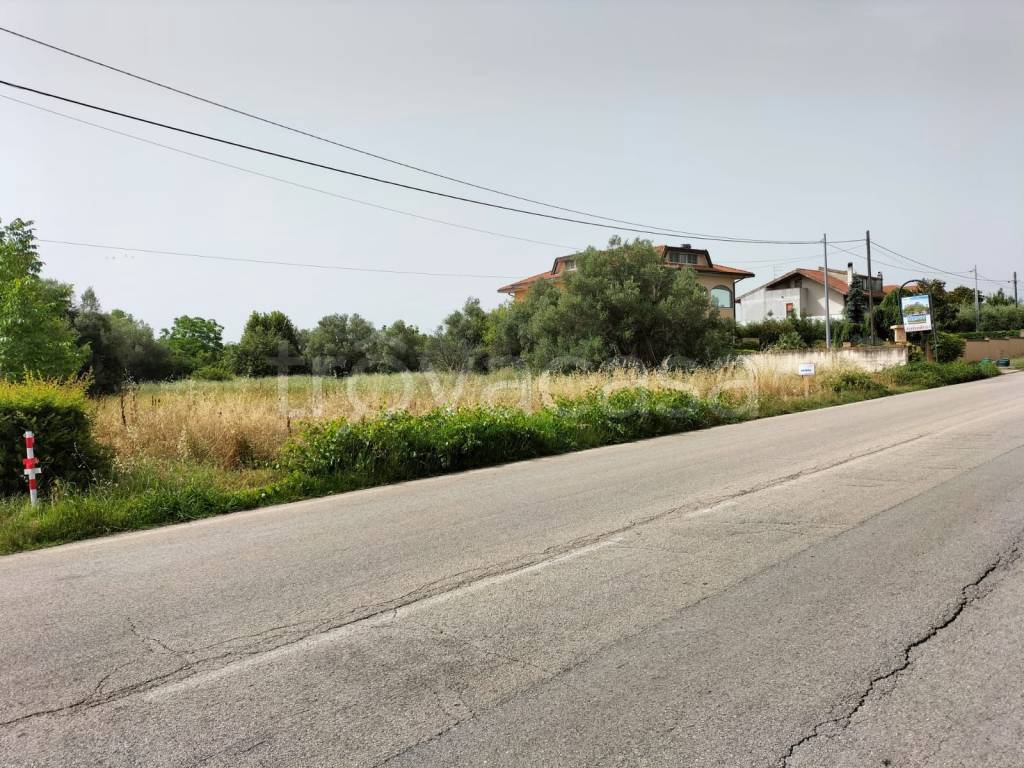 immagine annuncio 1 di 4