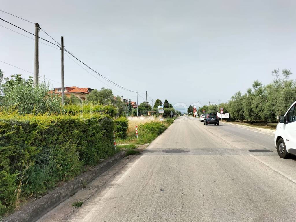 immagine annuncio 2 di 4