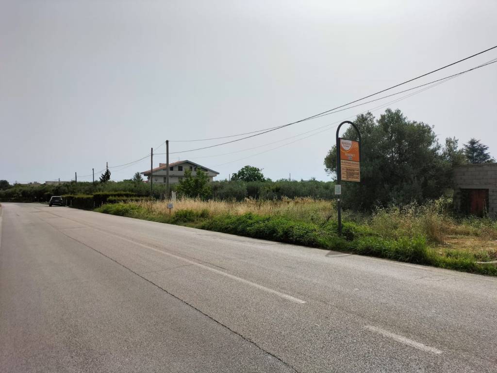 immagine annuncio 3 di 4