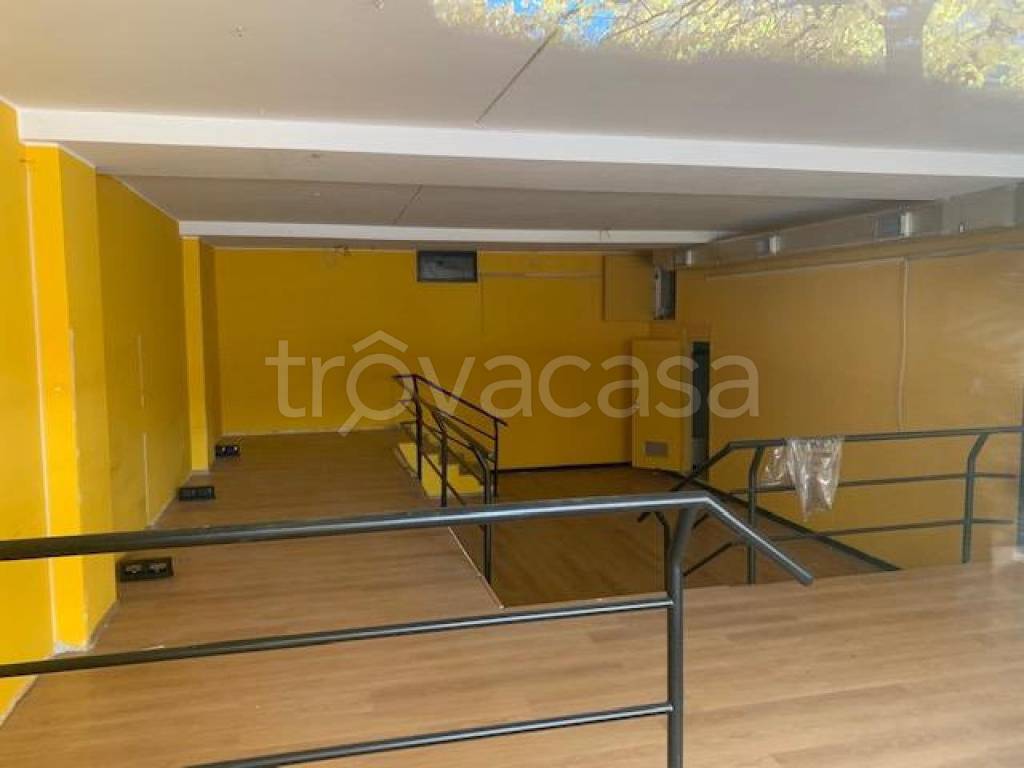 immagine annuncio 4 di 7