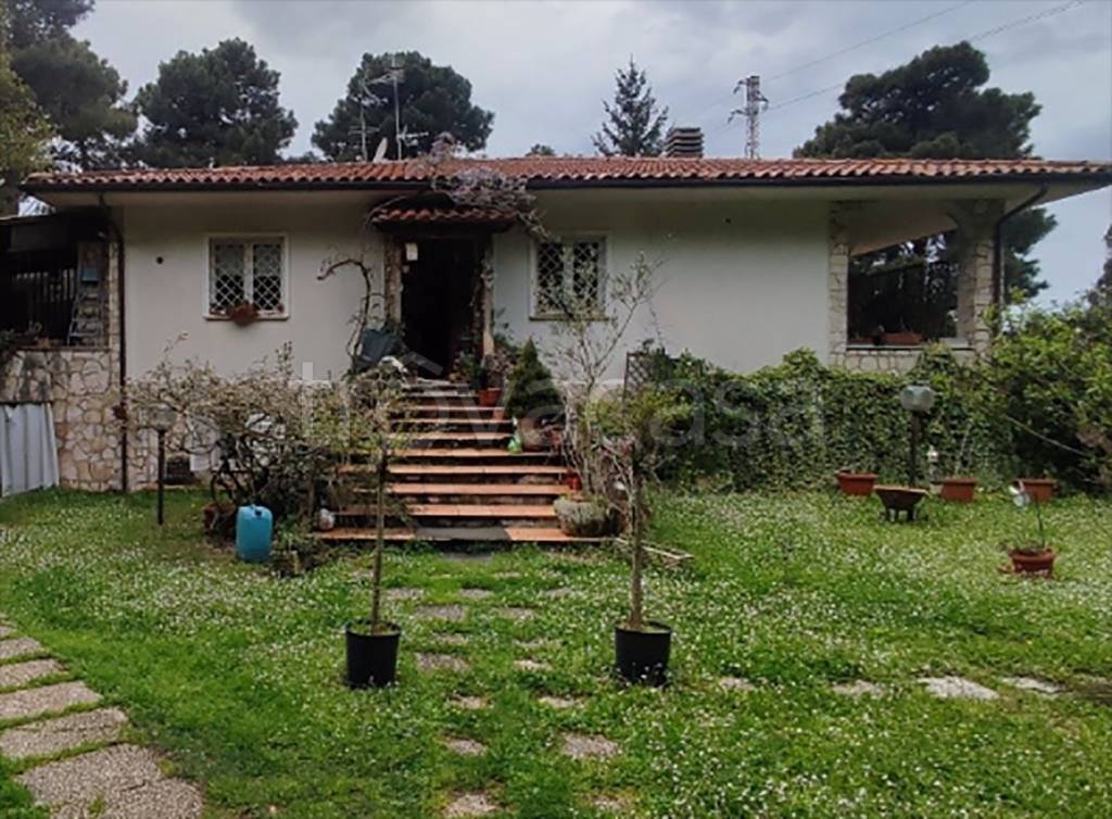 immagine annuncio 2 di 10