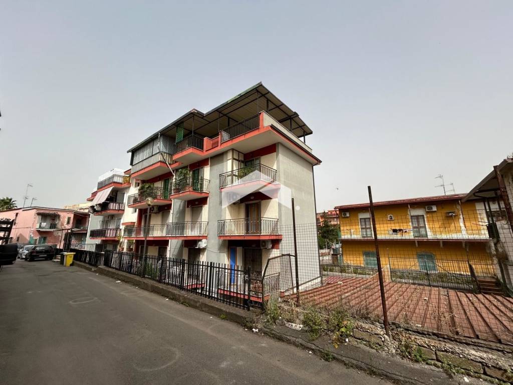 immagine annuncio 4 di 12