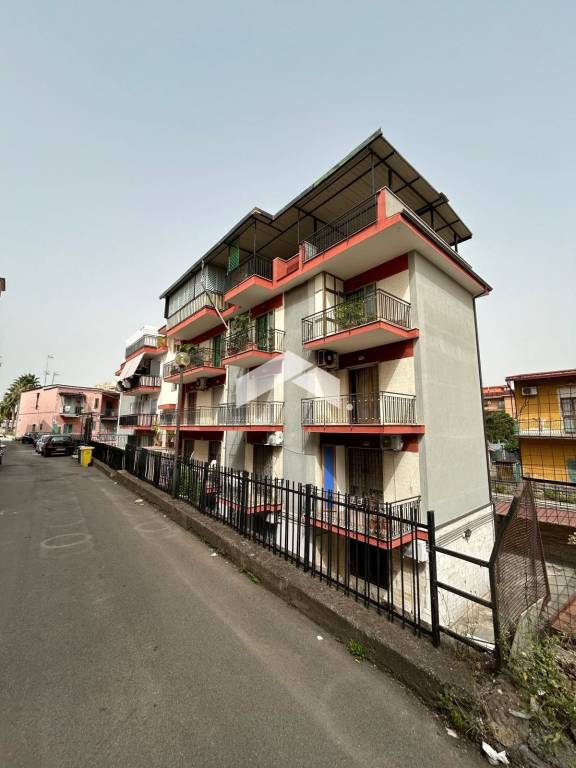 immagine annuncio 6 di 12