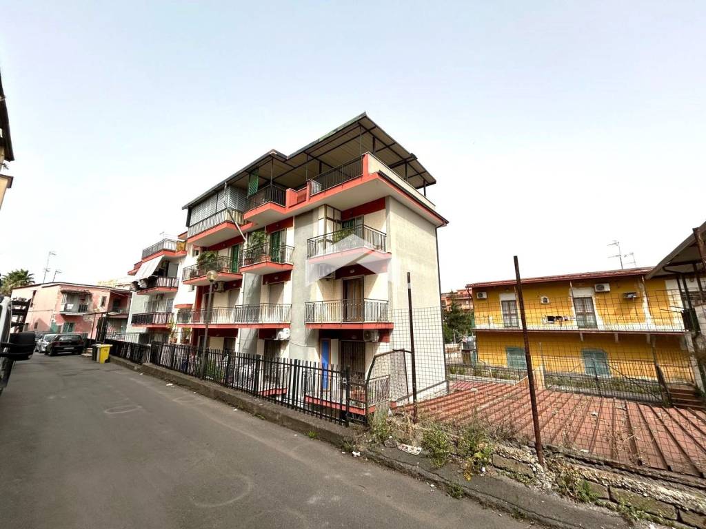 immagine annuncio 9 di 12