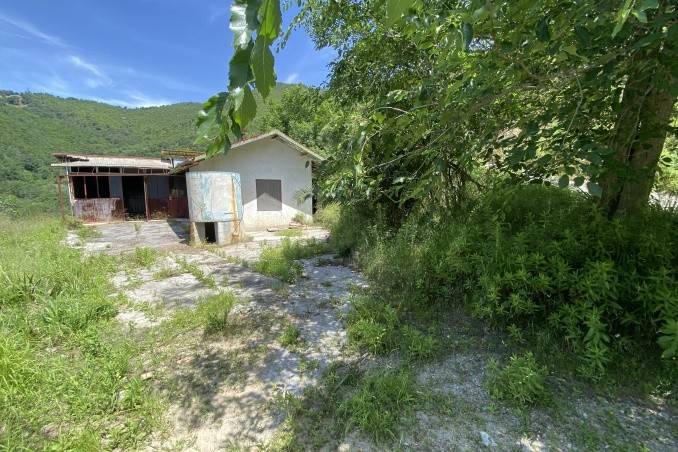 immagine annuncio 2 di 13