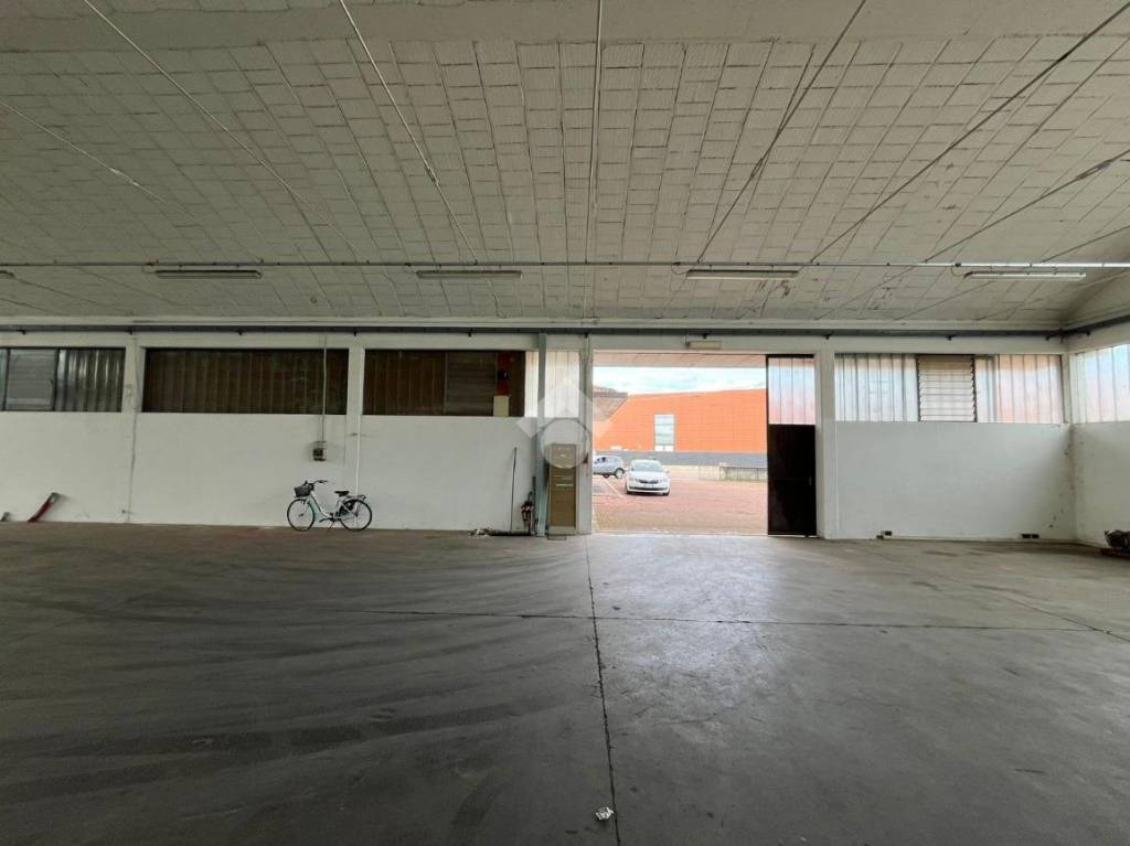 immagine annuncio 1 di 11