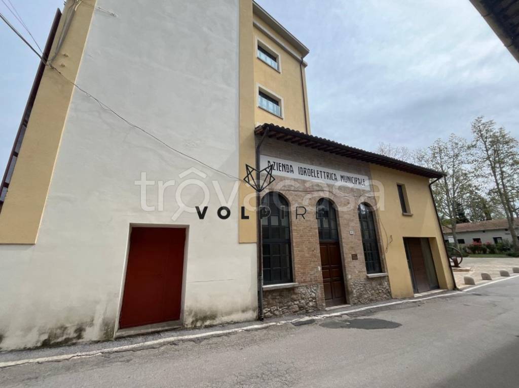 immagine annuncio 3 di 11