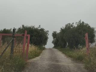 Terreno agricolo in vendita a montopoli di sabina via ternana