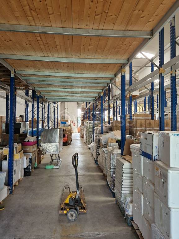 immagine annuncio 14 di 15