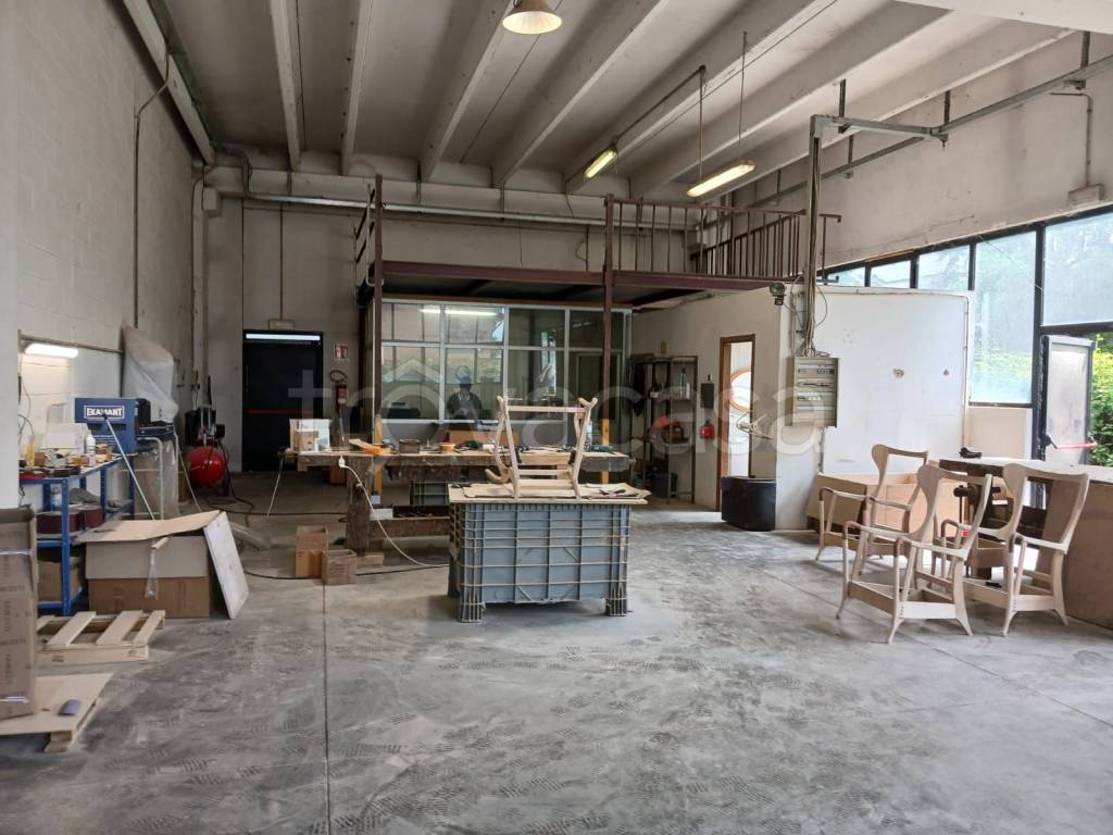 immagine annuncio 1 di 14