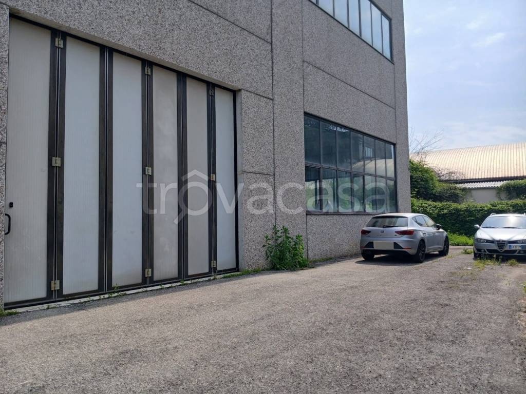 immagine annuncio 9 di 14