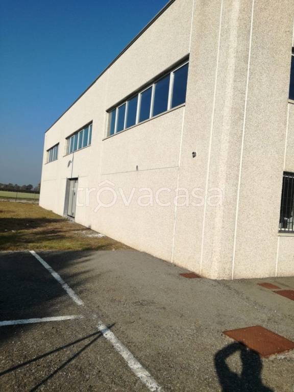 immagine annuncio 13 di 14