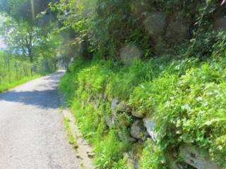 Terreno agricolo in vendita a valgreghentino frazione buttello