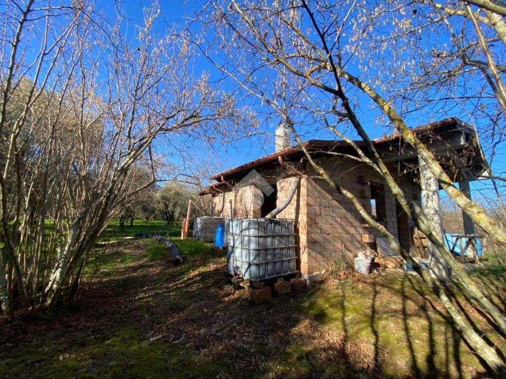 immagine annuncio 5 di 11