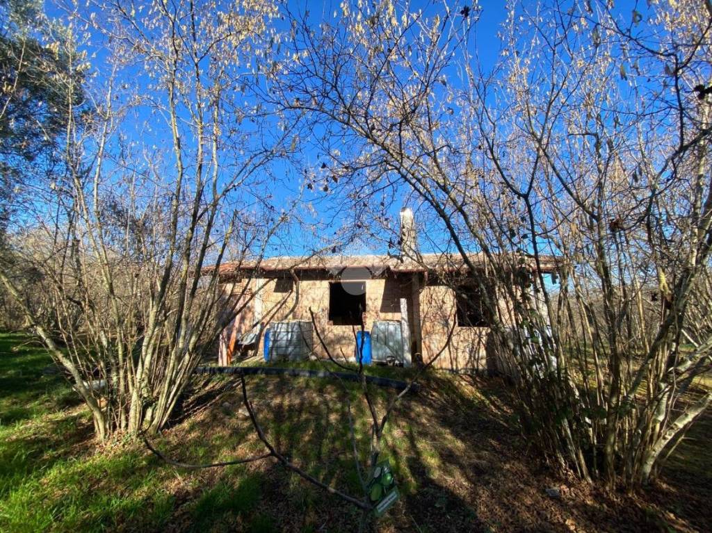 immagine annuncio 7 di 11