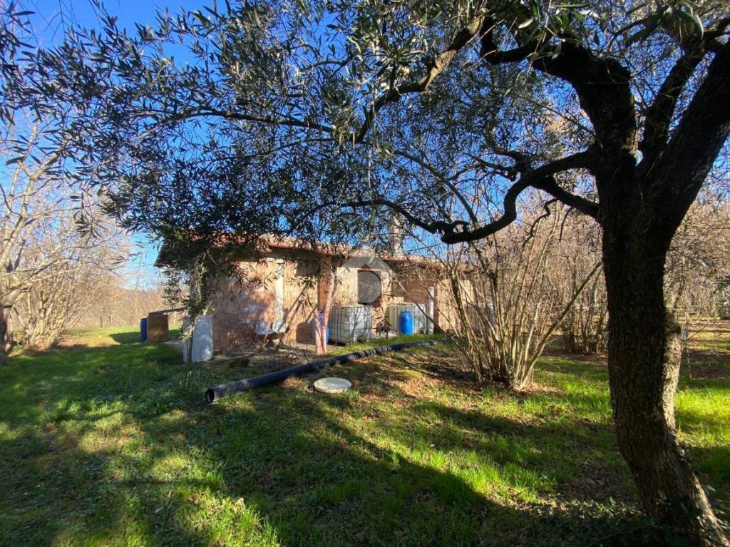 immagine annuncio 1 di 11