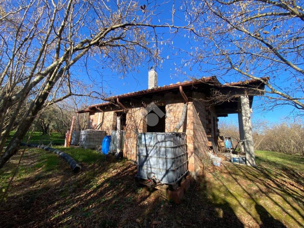 immagine annuncio 9 di 11