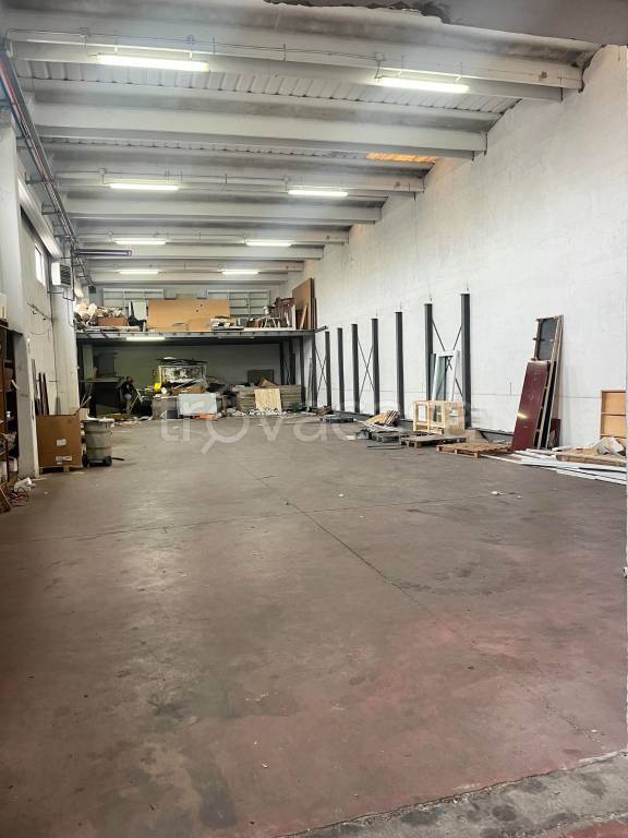 immagine annuncio 2 di 11