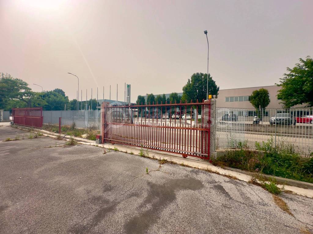 immagine annuncio 6 di 15