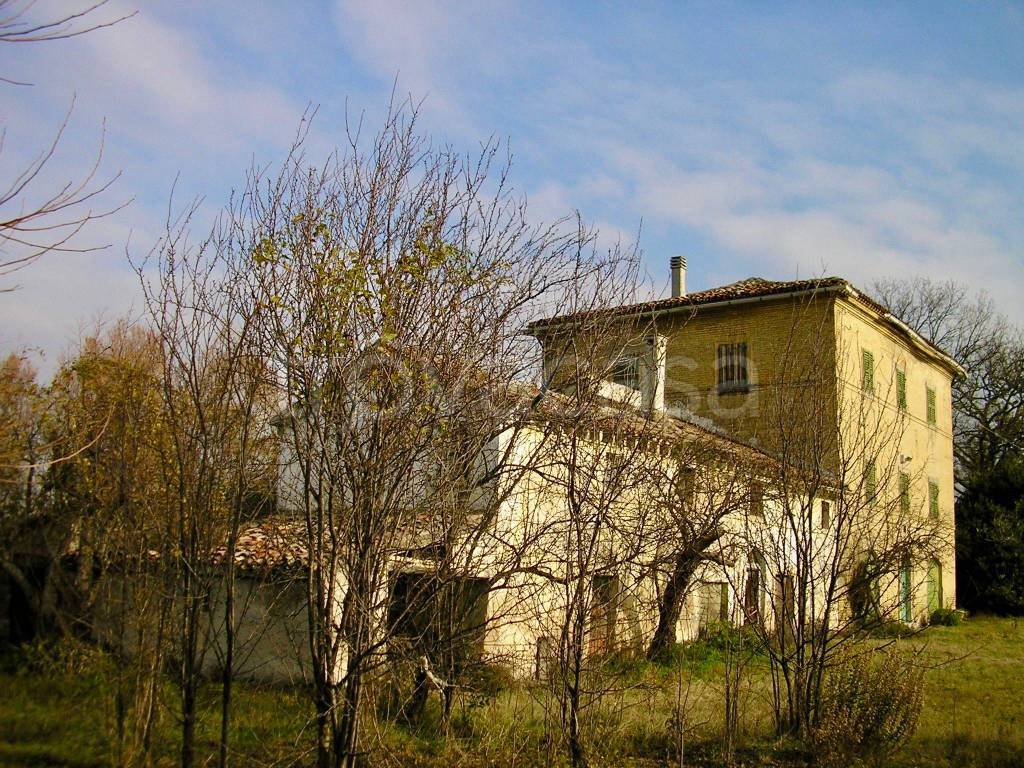 immagine annuncio 1 di 4
