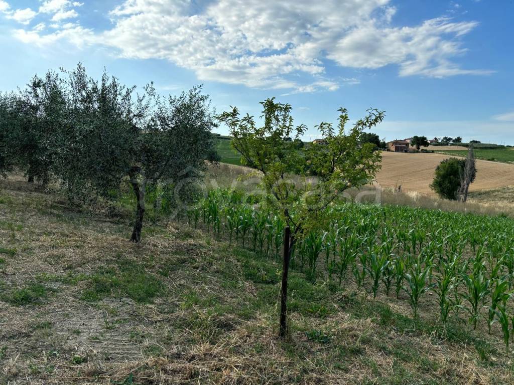 immagine annuncio 7 di 11
