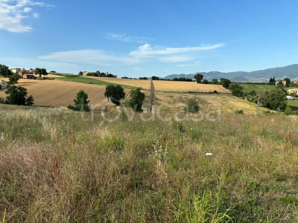 immagine annuncio 8 di 11