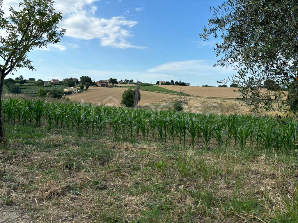 immagine annuncio 9 di 11