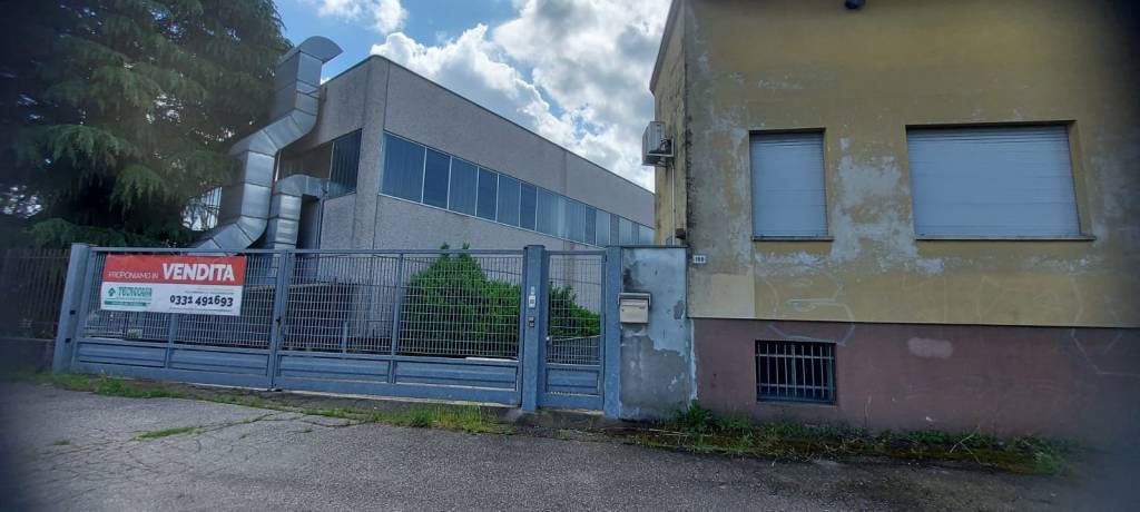 immagine annuncio 4 di 15