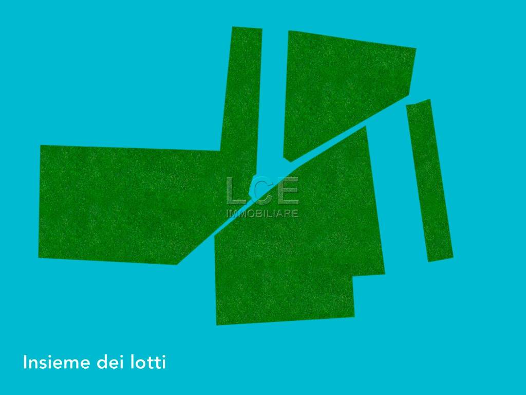 immagine annuncio 5 di 6