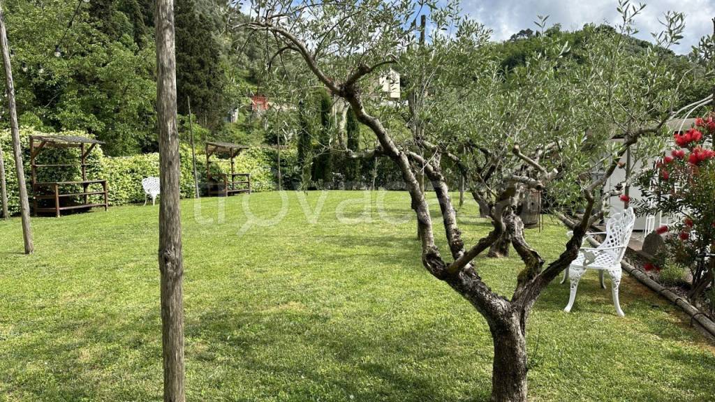 immagine annuncio 4 di 7