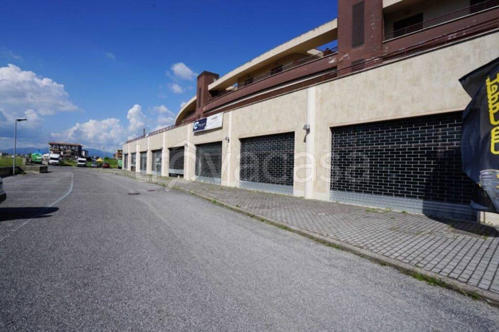 immagine annuncio 6 di 7