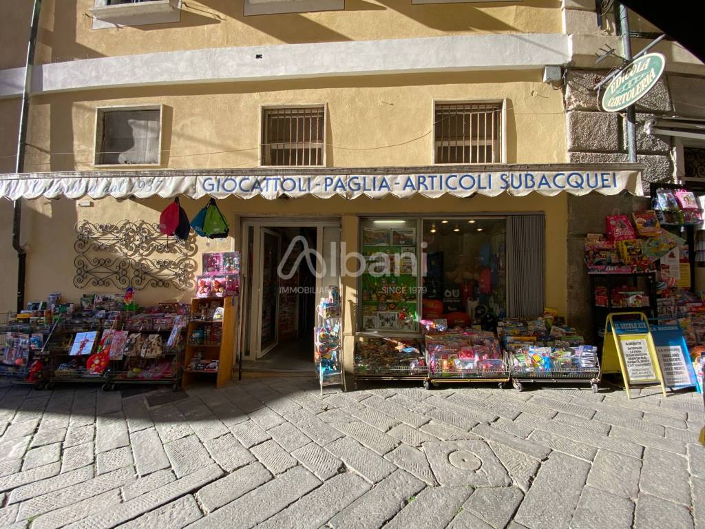 immagine annuncio 7 di 12