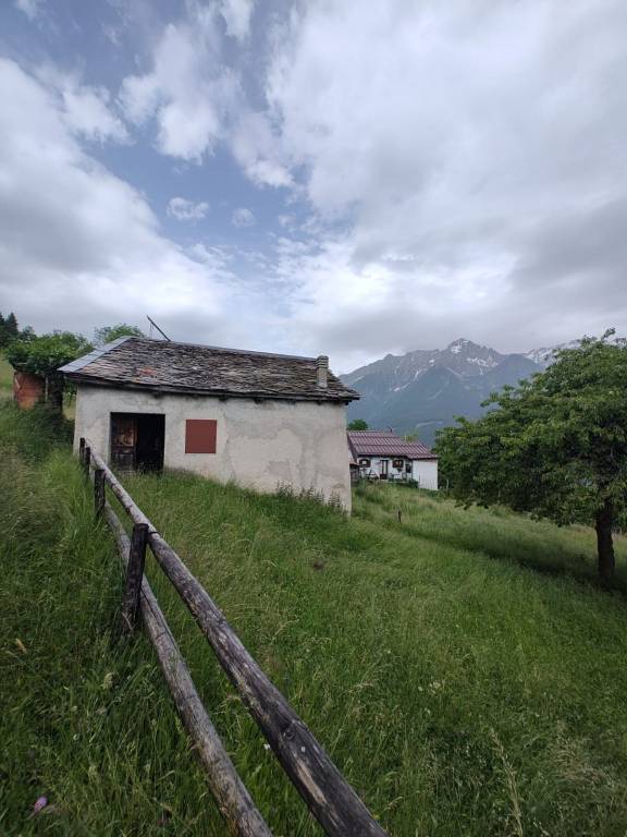 immagine annuncio 11 di 15