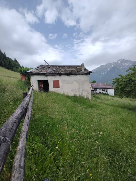 immagine annuncio 12 di 15