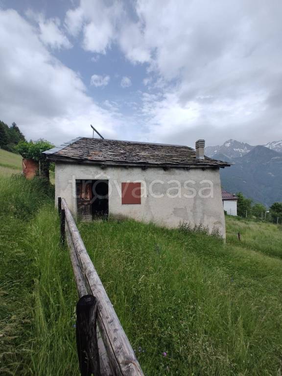 immagine annuncio 13 di 15