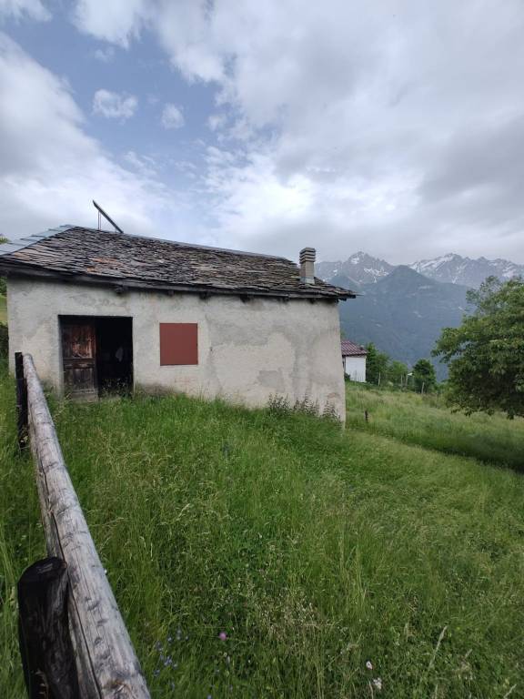 immagine annuncio 14 di 15