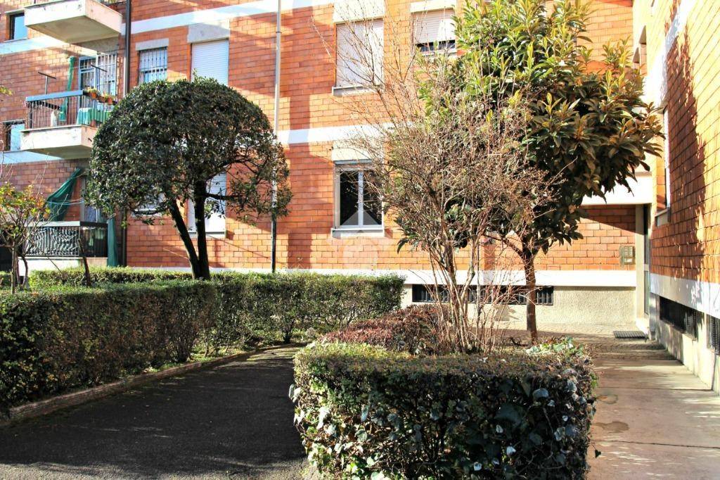 immagine annuncio 5 di 12