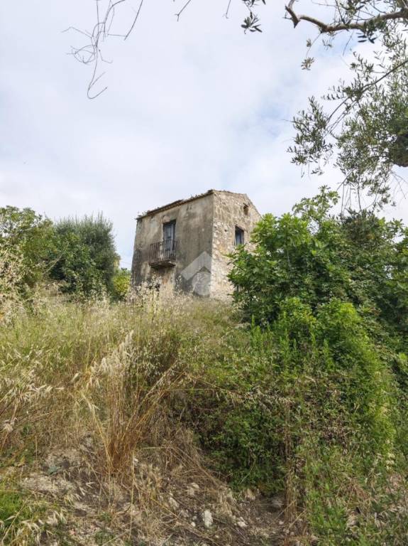 immagine annuncio 8 di 12