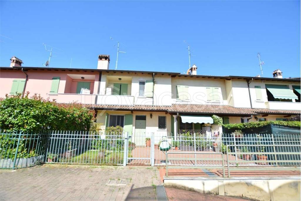 immagine annuncio 1 di 15