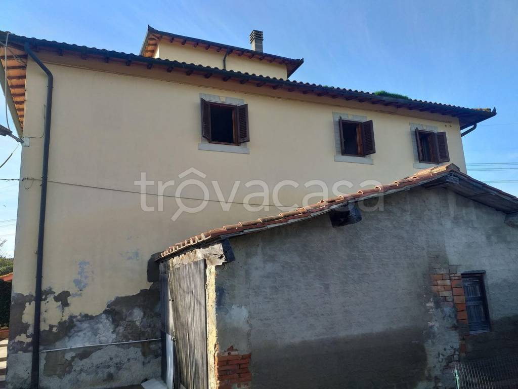 immagine annuncio 4 di 7