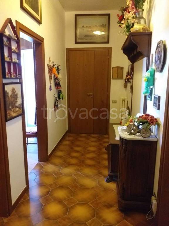 immagine annuncio 7 di 9