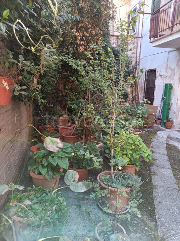 immagine annuncio 6 di 8