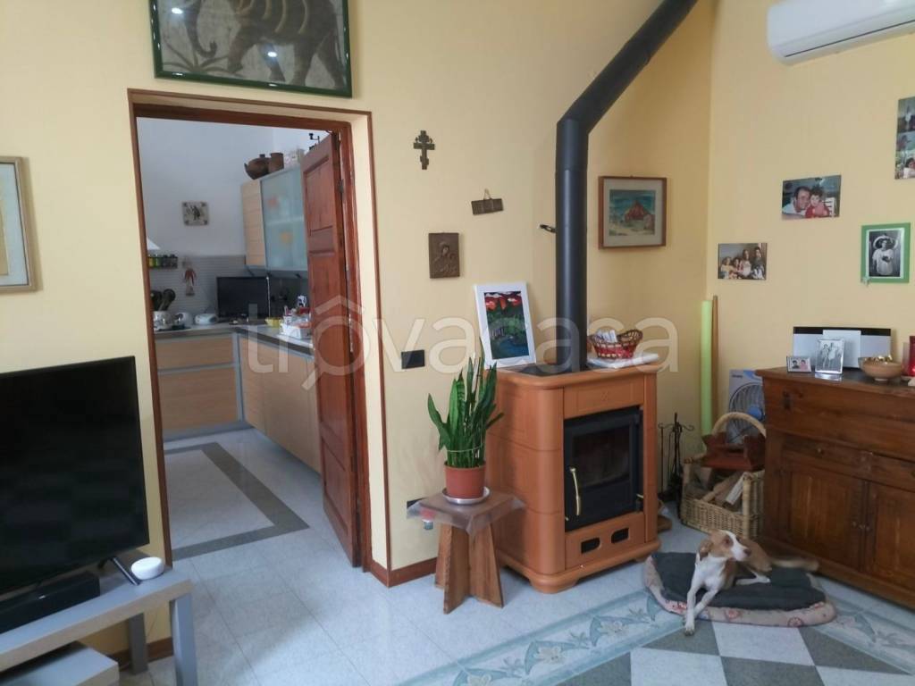 immagine annuncio 10 di 12
