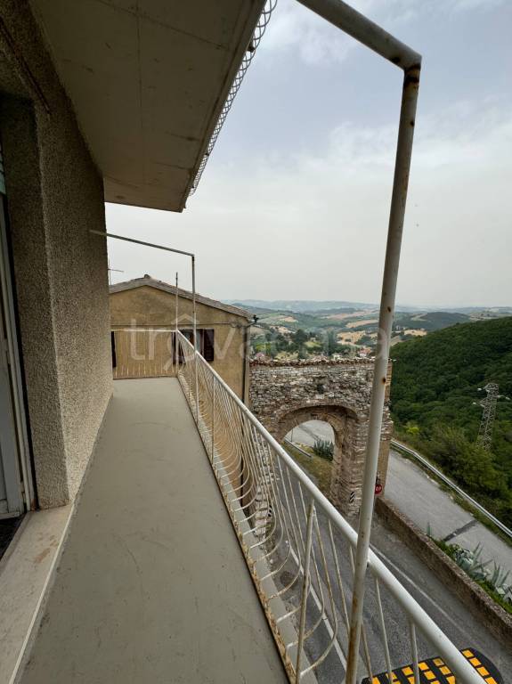 immagine annuncio 8 di 12
