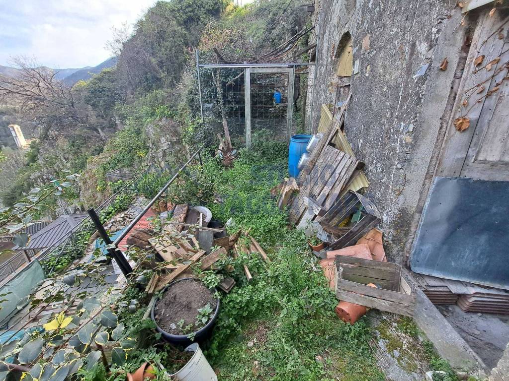 immagine annuncio 2 di 4