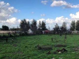 Terreno agricolo in affitto a giugliano in campania via carrafiello