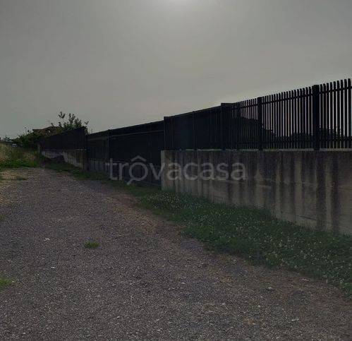 immagine annuncio 7 di 11