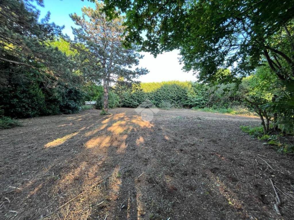 immagine annuncio 6 di 7