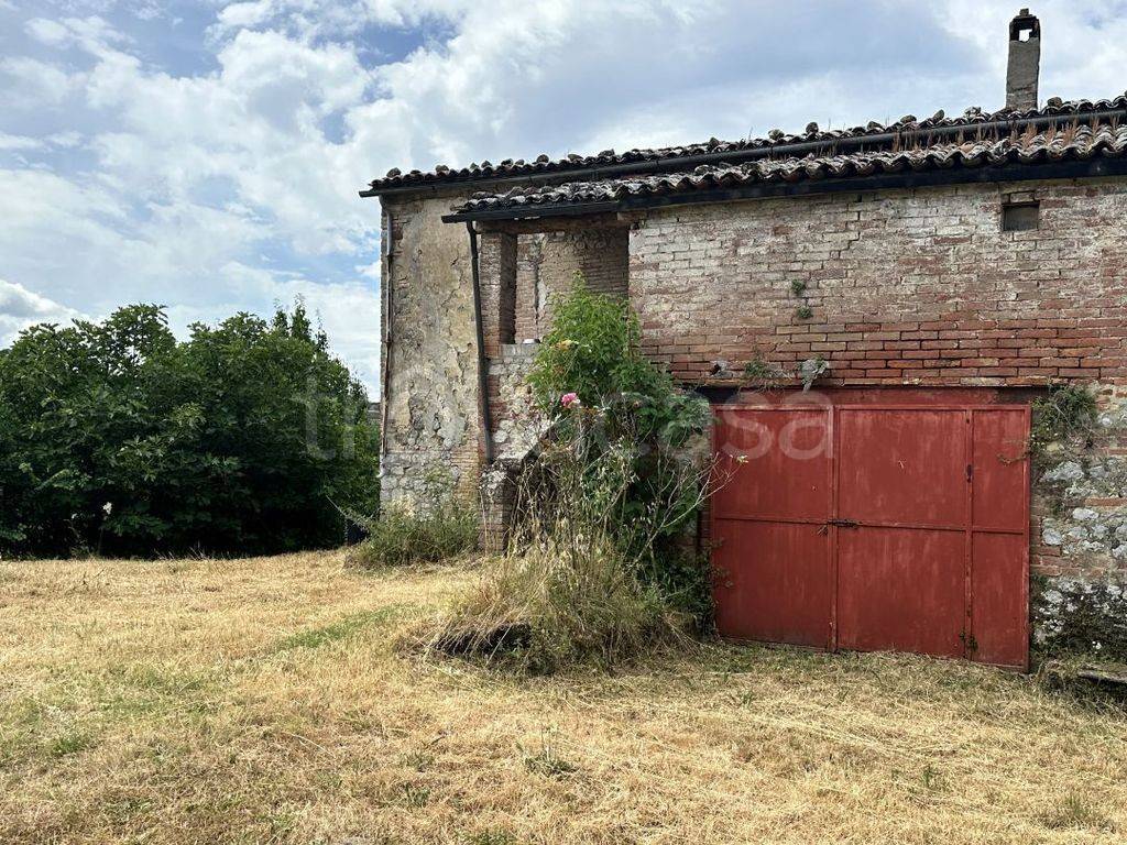 immagine annuncio 5 di 14